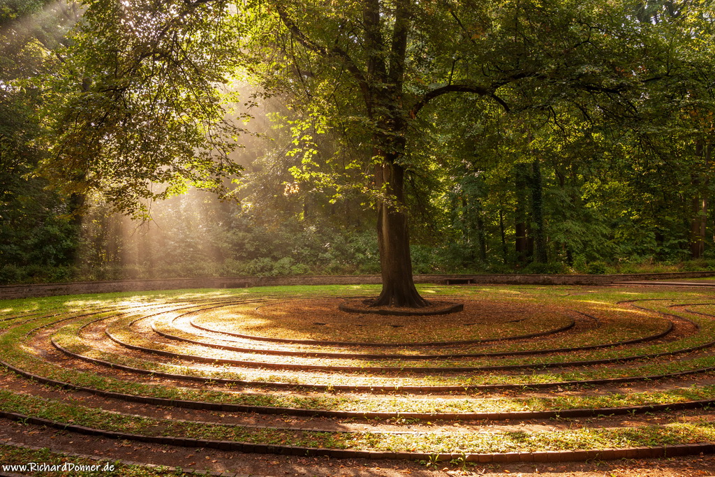 zonlicht, lindeboom, labyrint